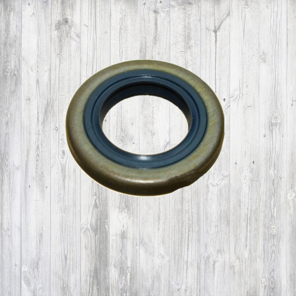 Сальники для бензотехники