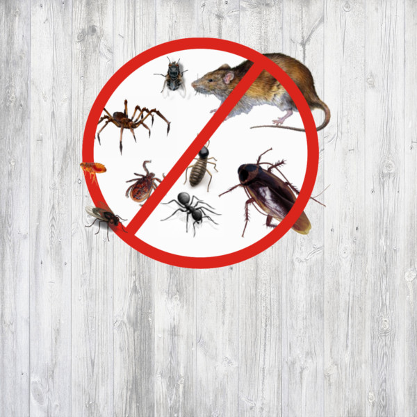 Средства от насекомых и садовых вредителей