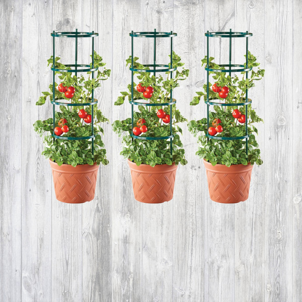 Кустодержатели